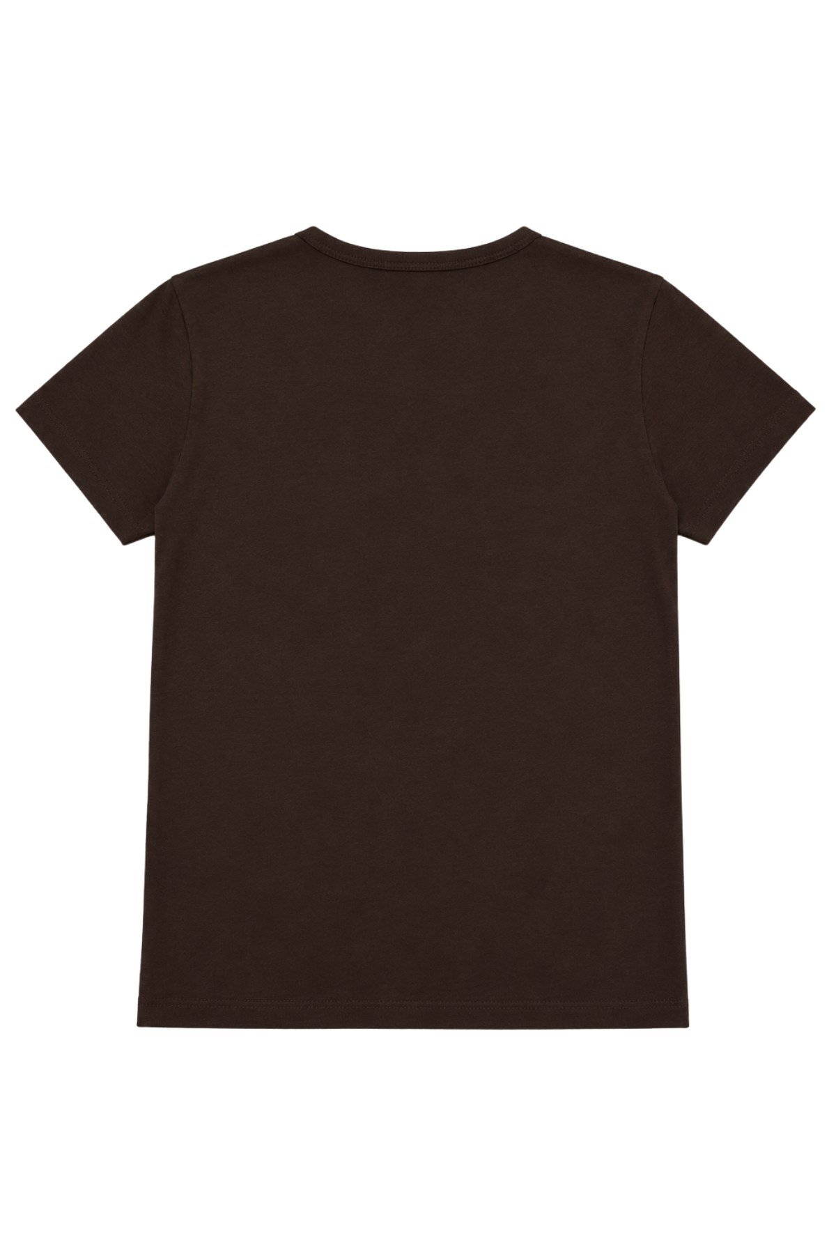 1003 Kadın Pamuklu Slim Fit Bisiklet Yaka Yumuşak Dokulu Basic T-Shirt Kahverengi · 4