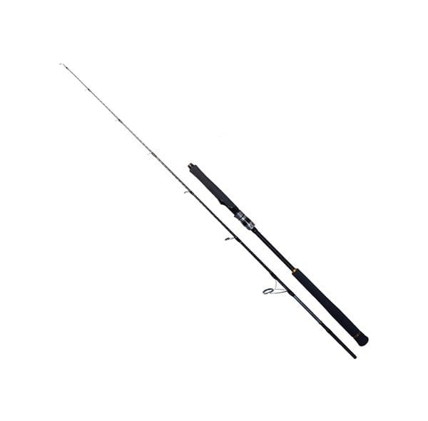 Ryuji Seawolf 1.98m 150-250gr 2p Jig Kamışı