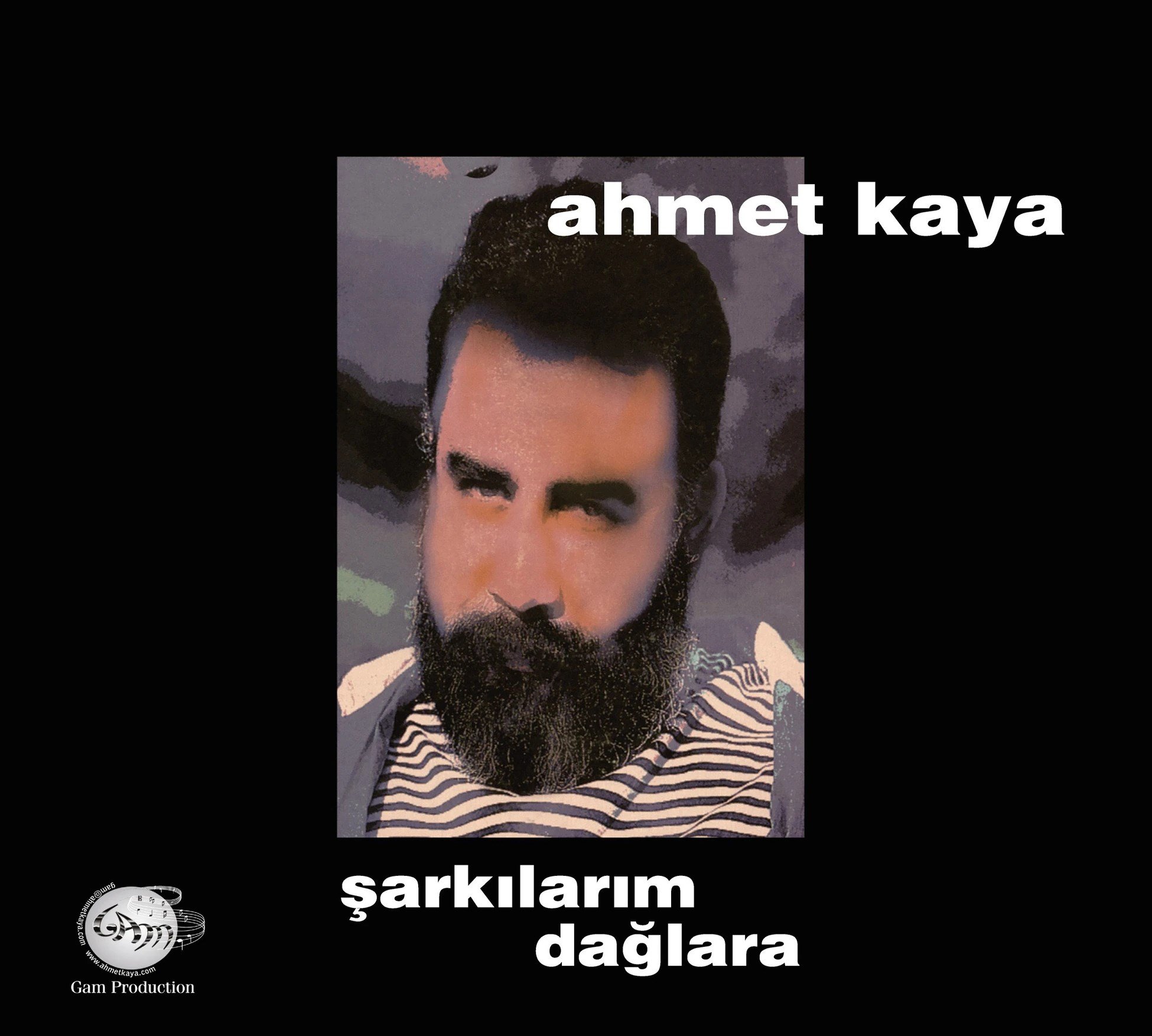 Ahmet Kaya - Şarkılarım Dağlara - Plak