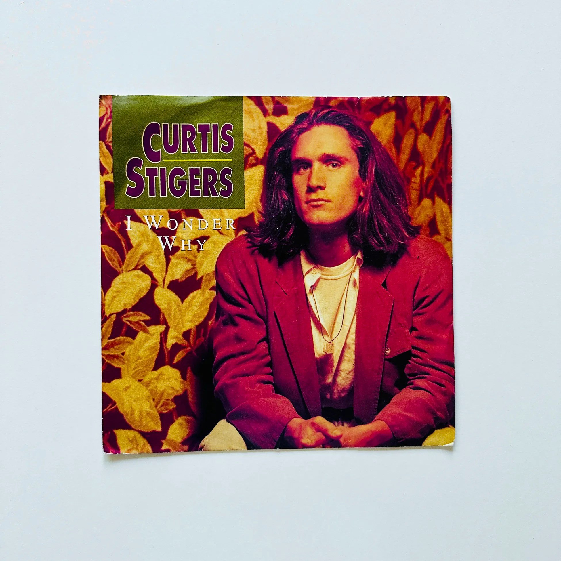 Curtis Stigers – I Wonder Why Dönem Baskı 45 lik Plak