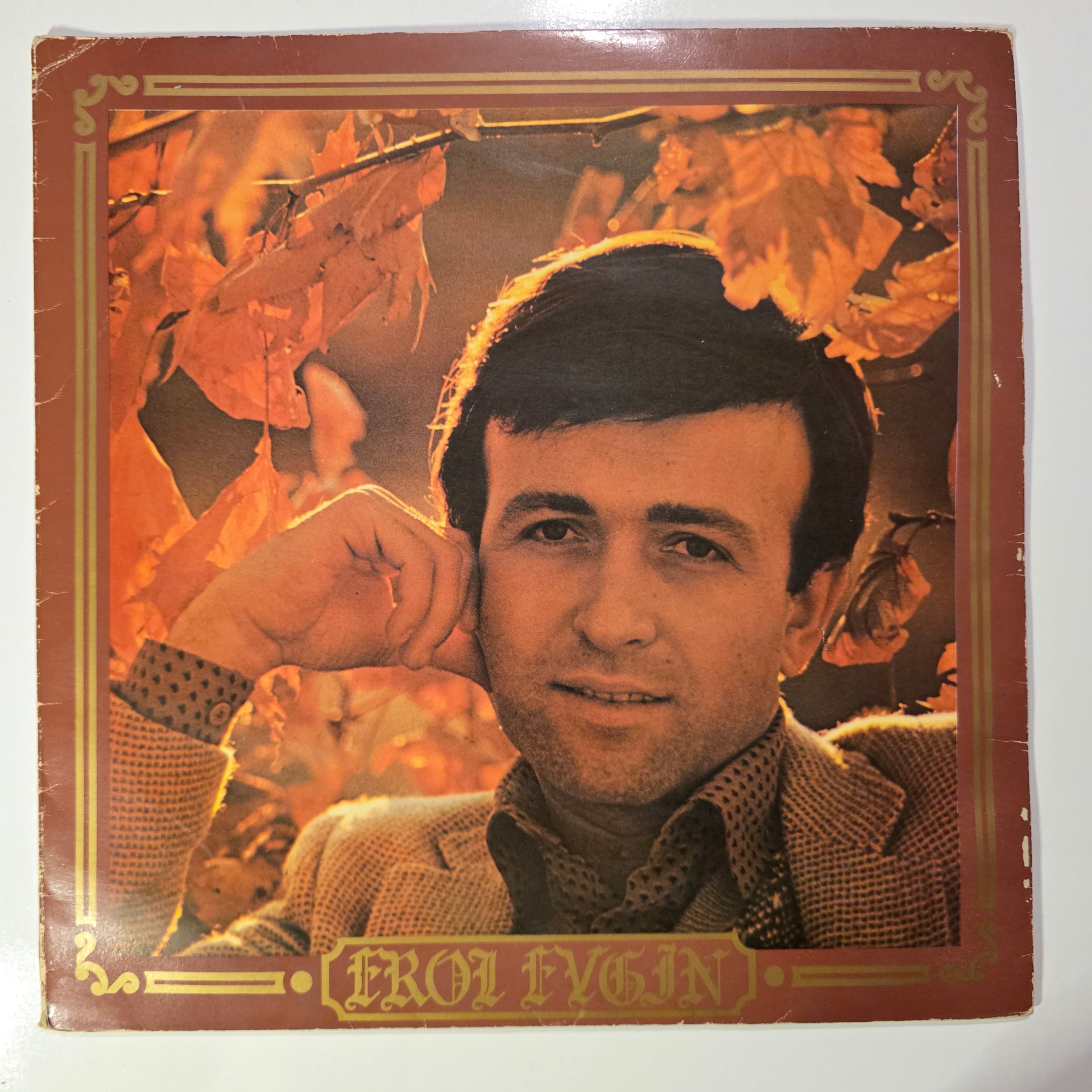 Erol Evgin - Erol Evgin' 79 - Plak