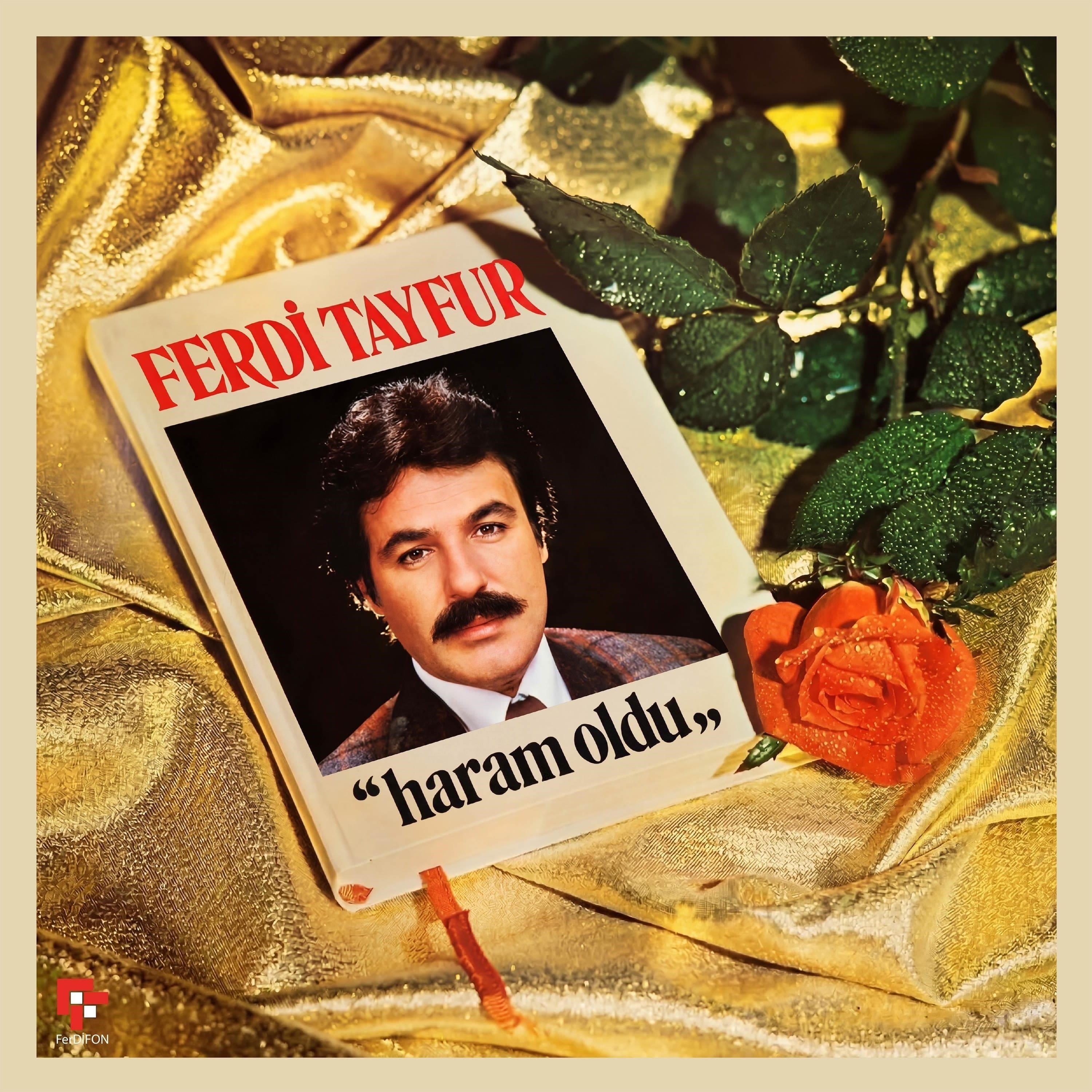 Ferdi Tayfur - Haram Oldu - Plak