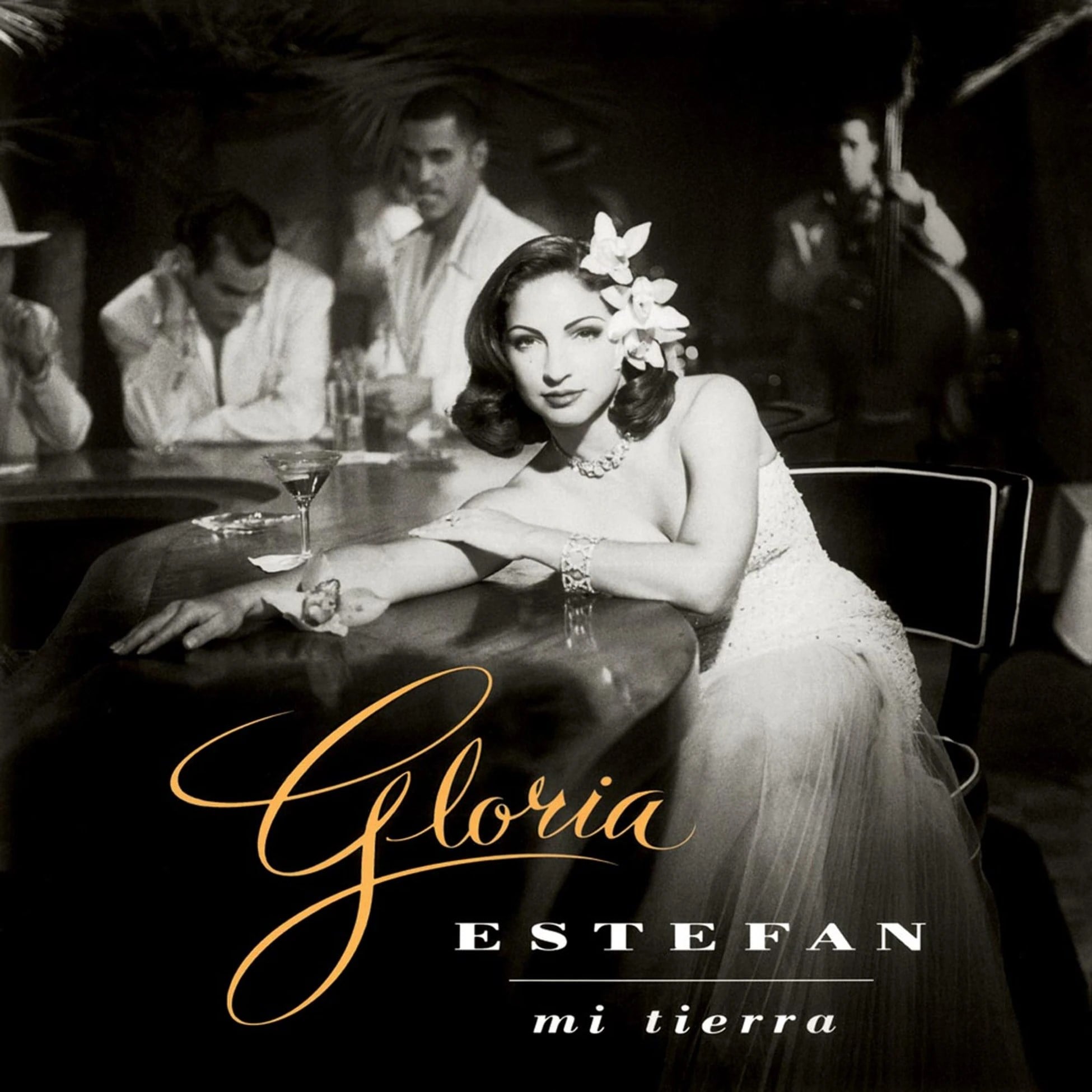 Gloria Estefan - Mi Tierra (180g) - Plak