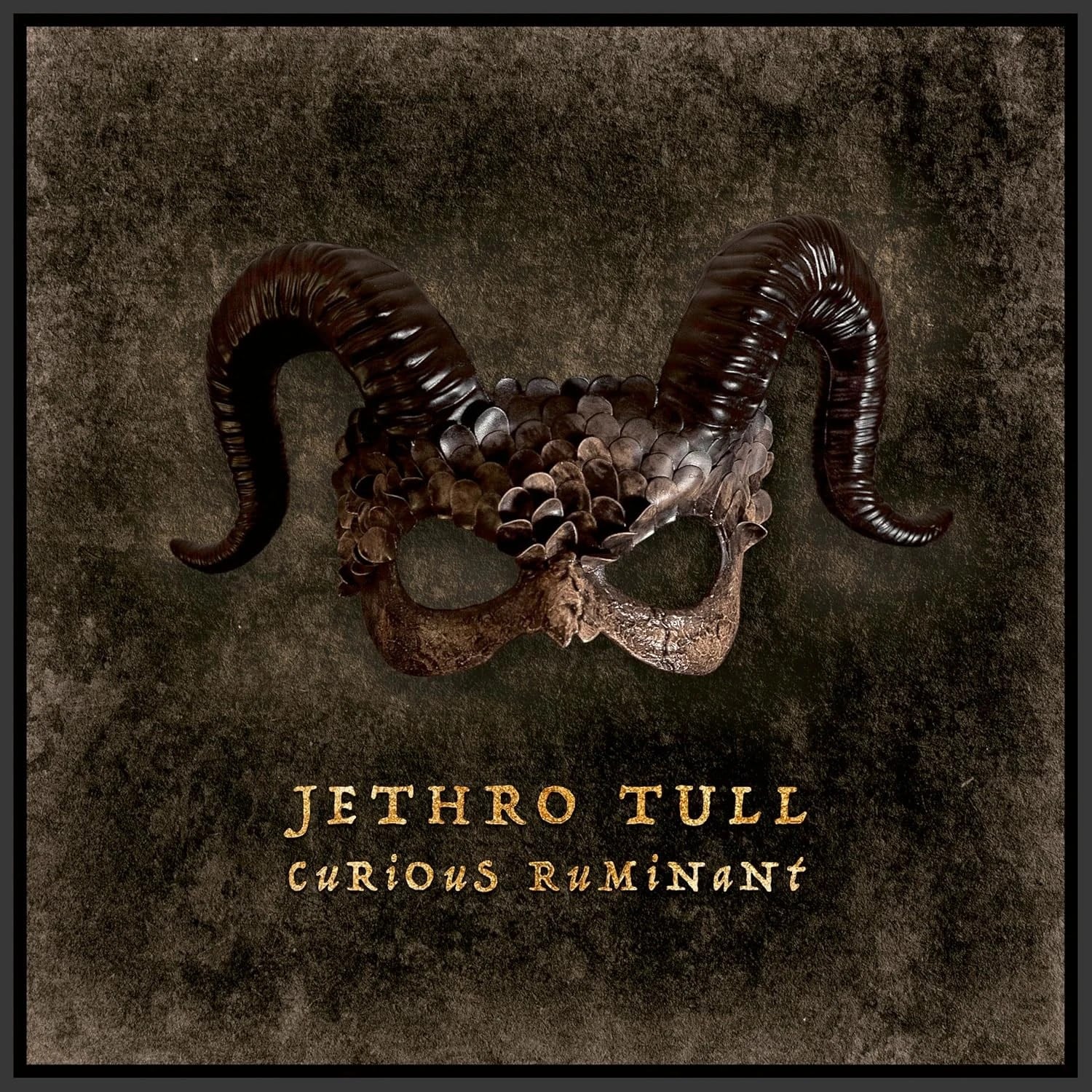 Jethro Tull - Curious Ruminant - Plak