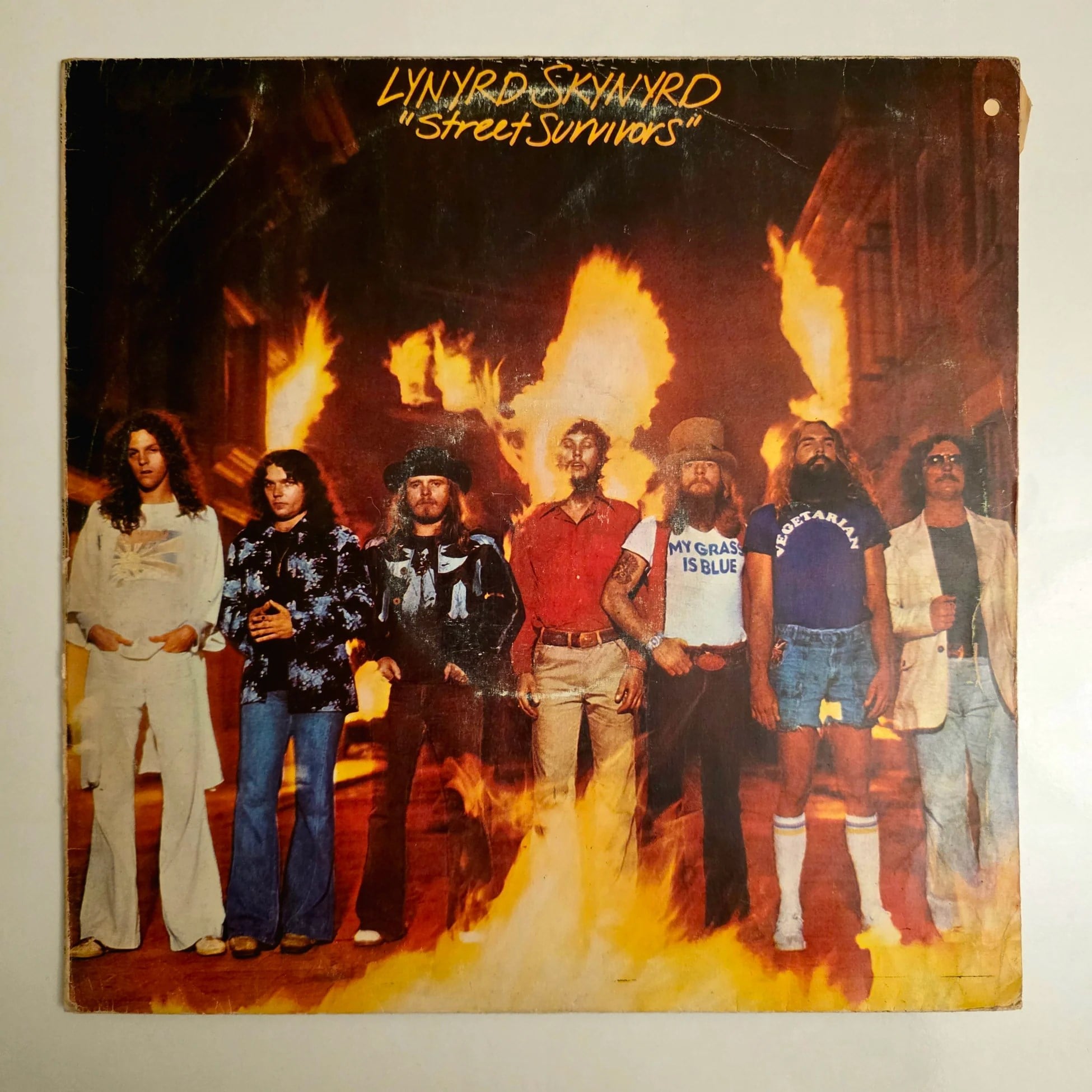 Lynyrd Skynyrd - Street Survivors- Dönem Baskı Plak