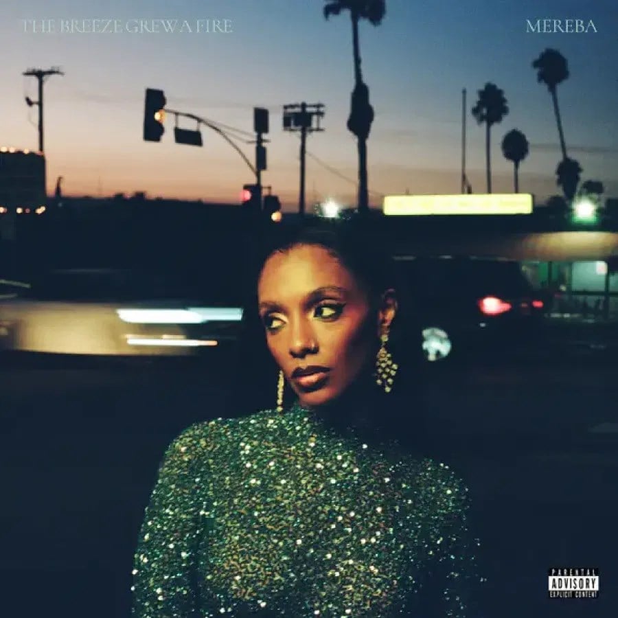 Mereba - The Breeze Grew a Fire - Plak