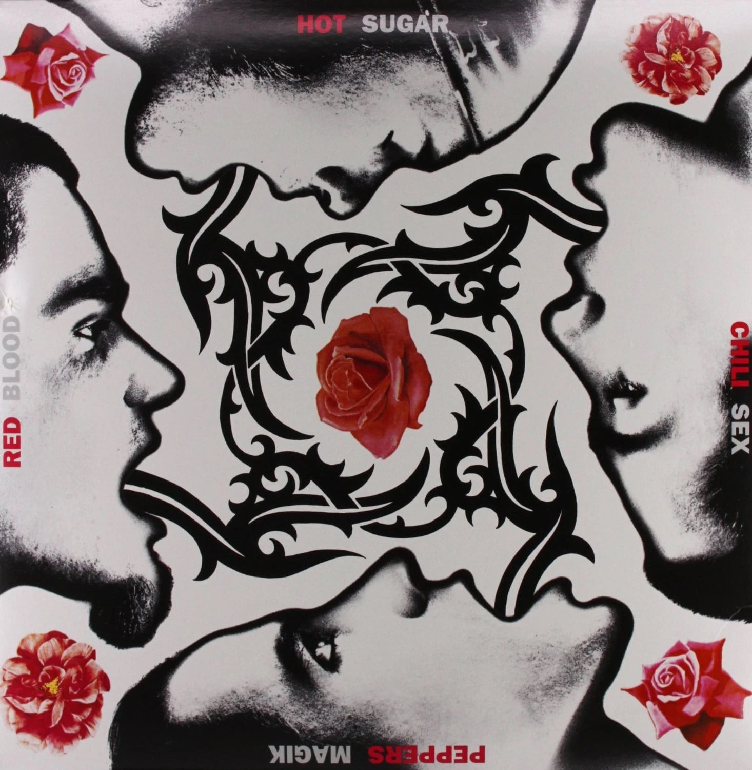 Red Hot Chili Peppers – Blood Sugar Sex Magik Plak