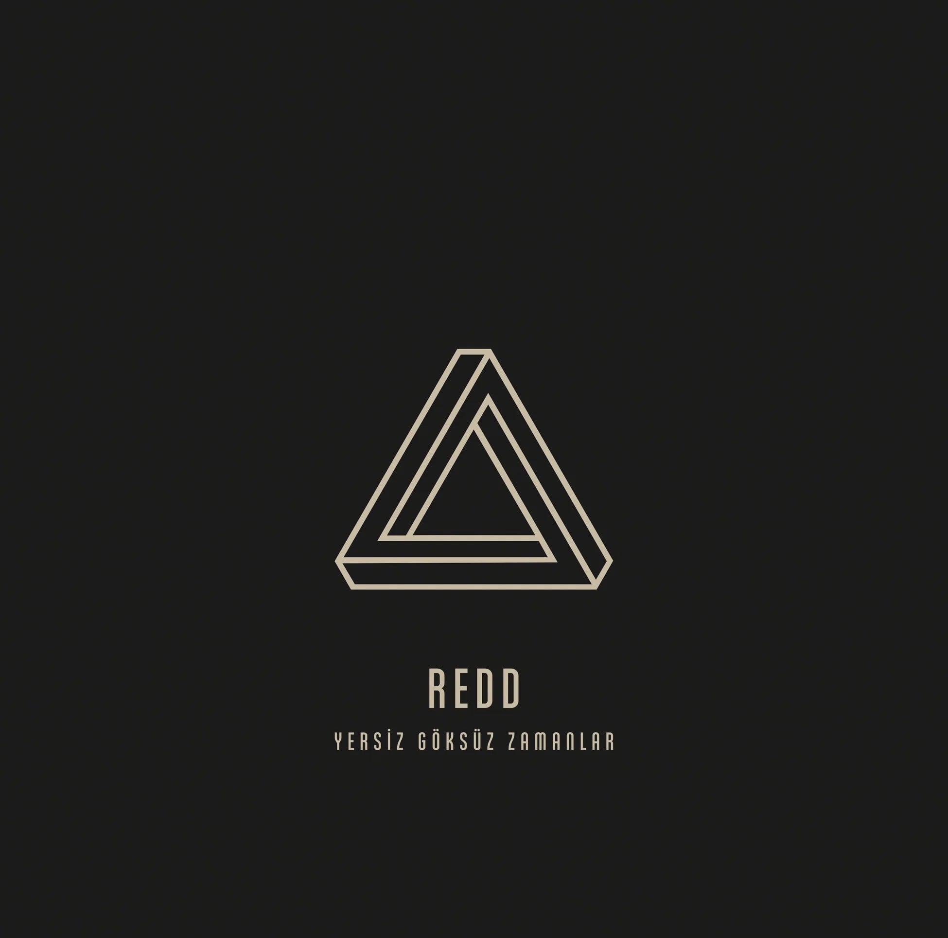Redd - Yersiz Göksüz Zamanlar - Plak
