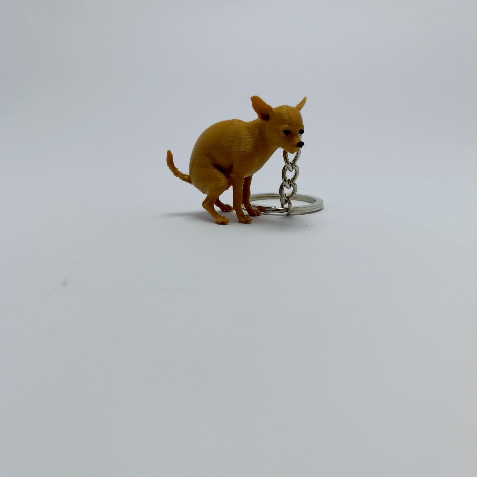 Chihuahua   - Anahtarlık