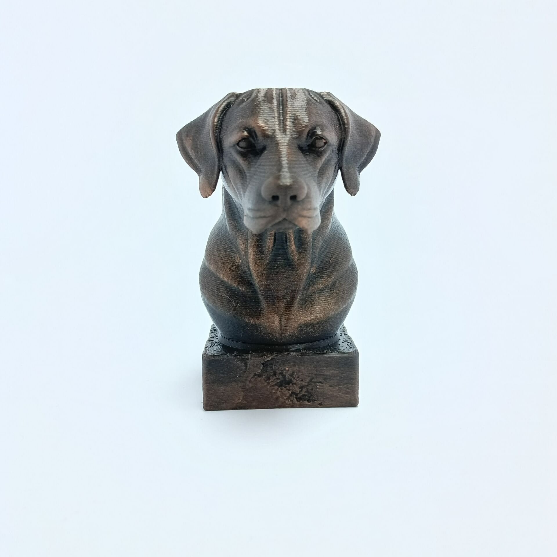 Labrador  - Büst