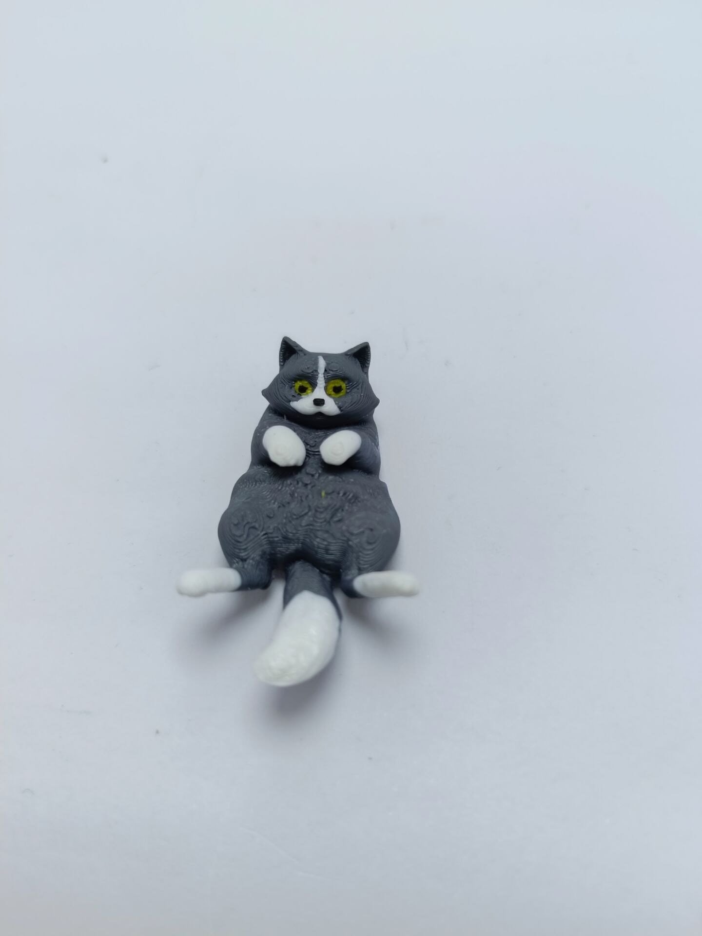 Miskin Gri Kedi  Magnet