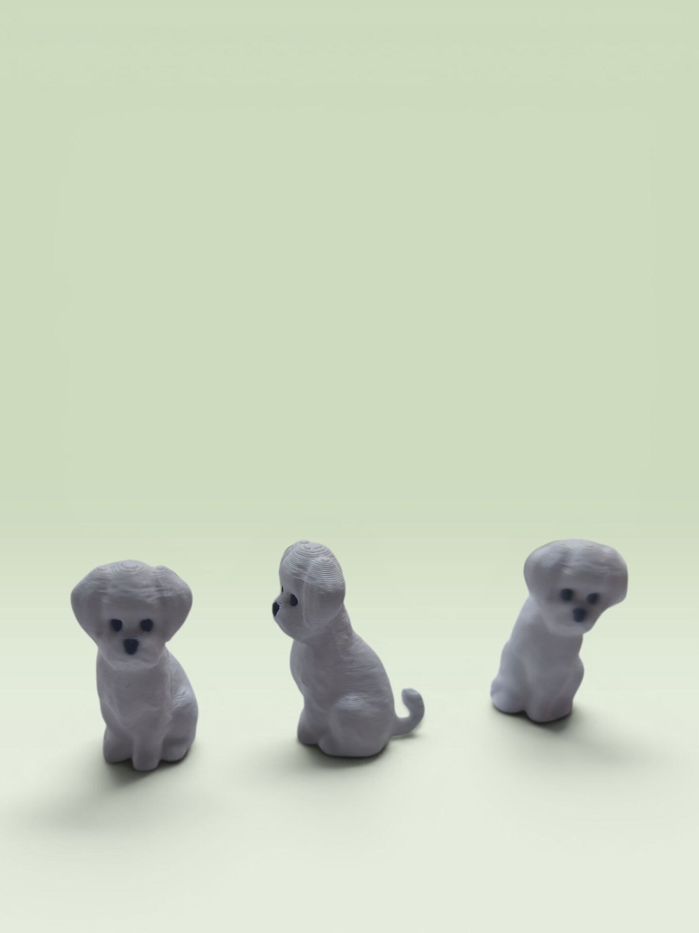 Sevimli Süs Köpeği 50'li -Teraryum Malzemesi