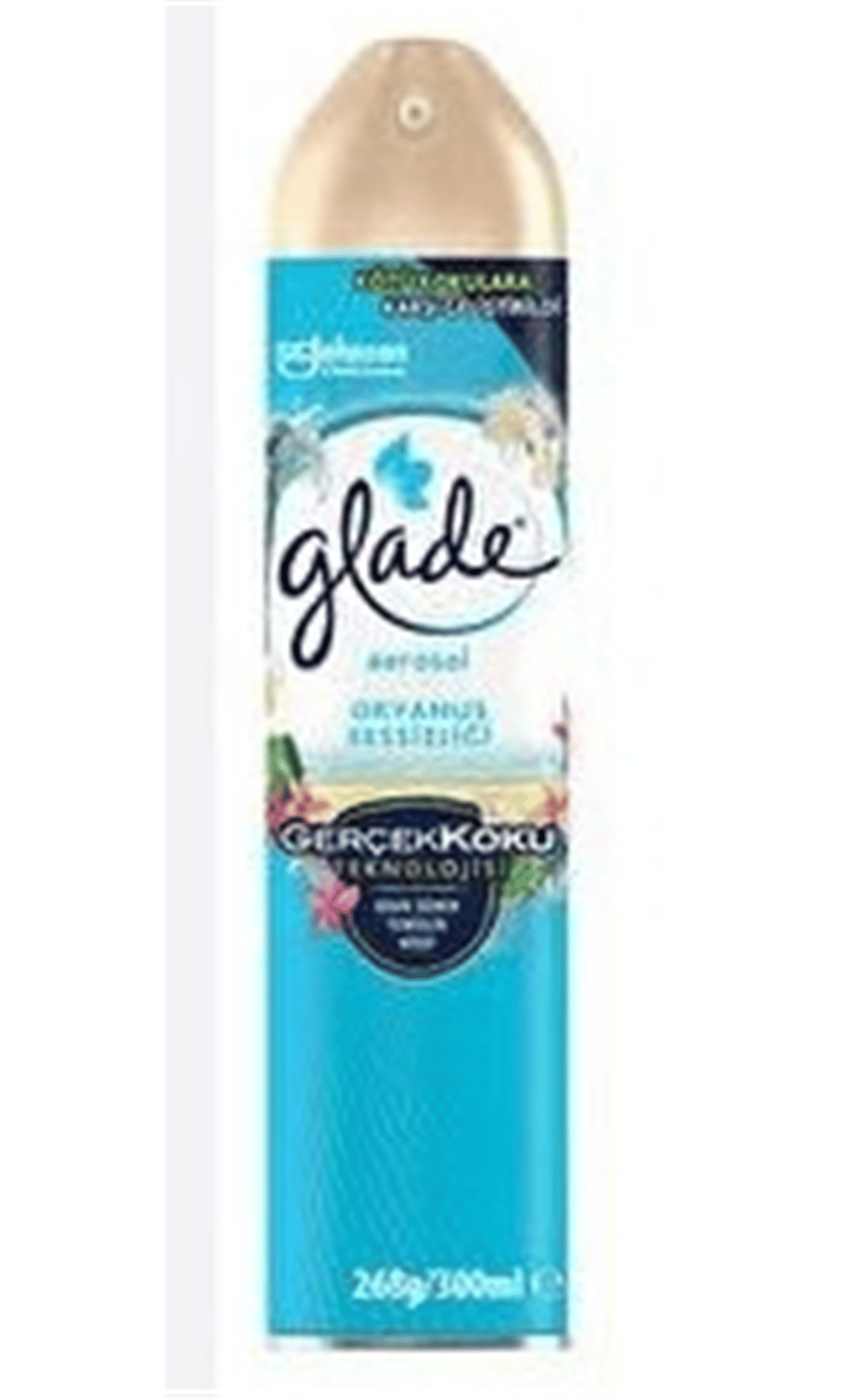 Glade Aerosol Oda Kokusu 300ml Okyanus