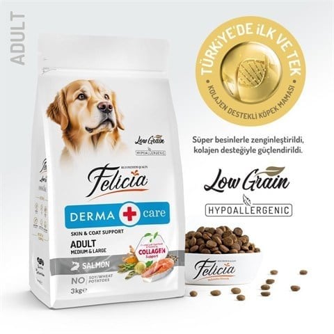 Felicia Somonlu Yetişkin Köpek Maması 3 kg