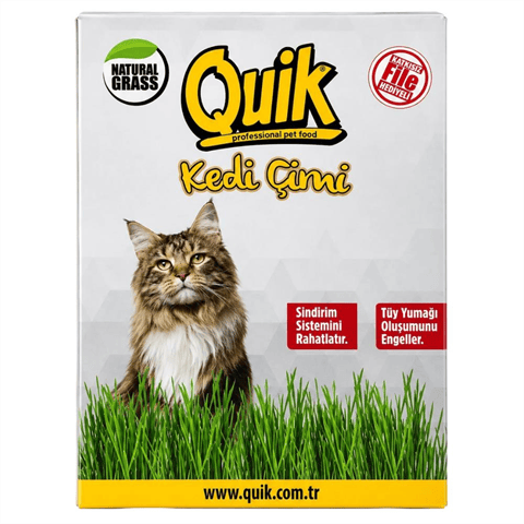 Quik Fileli Doğal Kedi Çimi