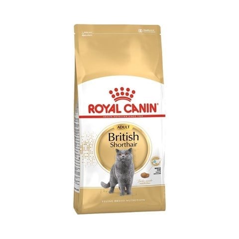 Royal Canin British Shorthair Adult Yetişkin Kedi Maması 4 kg