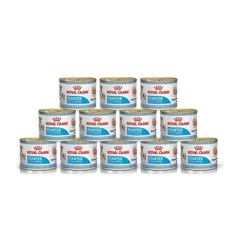 Royal Canin Starter Mousse Mother and Babydog Konserve Köpek Maması 195 gr 12 Adet