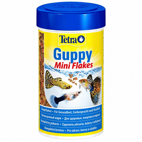 Tetra Guppy Mini Flakes Lepistes ve Canlı Doğuran Balık Yemi 100 ml 30 gr