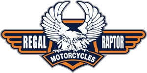 REGAL RAPTOR DAYTONA 250 DEVİR DAİM TAMİR TAKIMI