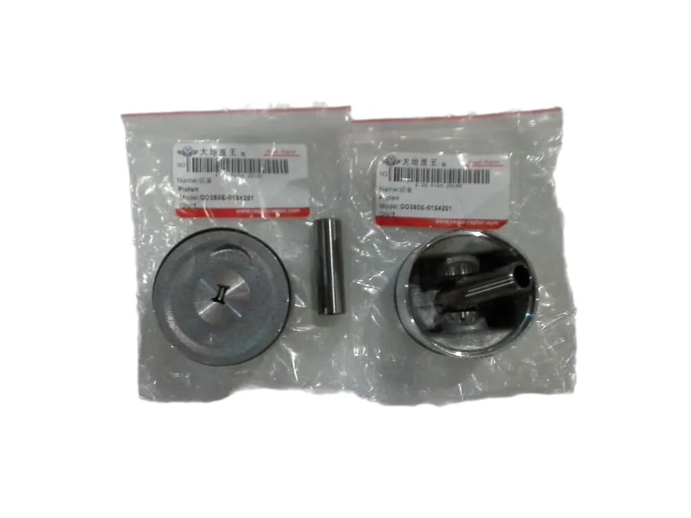 REGAL RAPTOR DAYTONA 250 V PİSTON SET