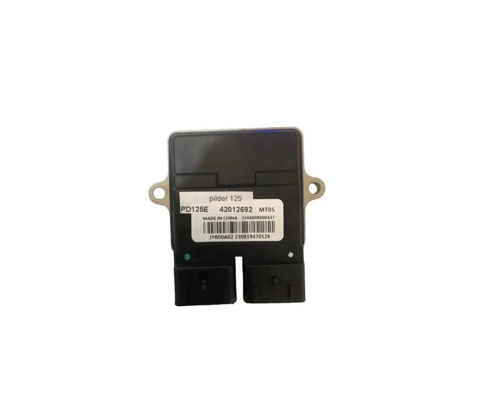 REGAL RAPTOR PİLDER 125 BEYİN
