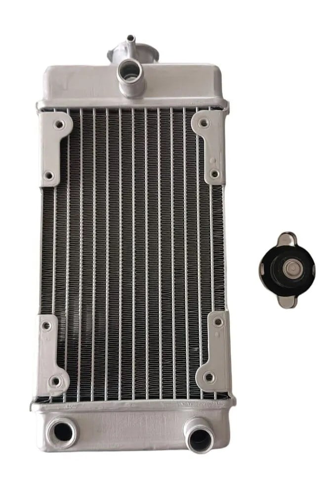 REGAL RAPTOR PİLDER 250 RADYATÖR