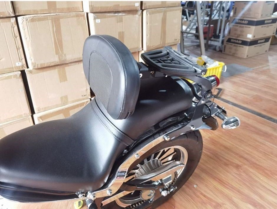 Regal Raptor Daytona 250 Sissy Bar