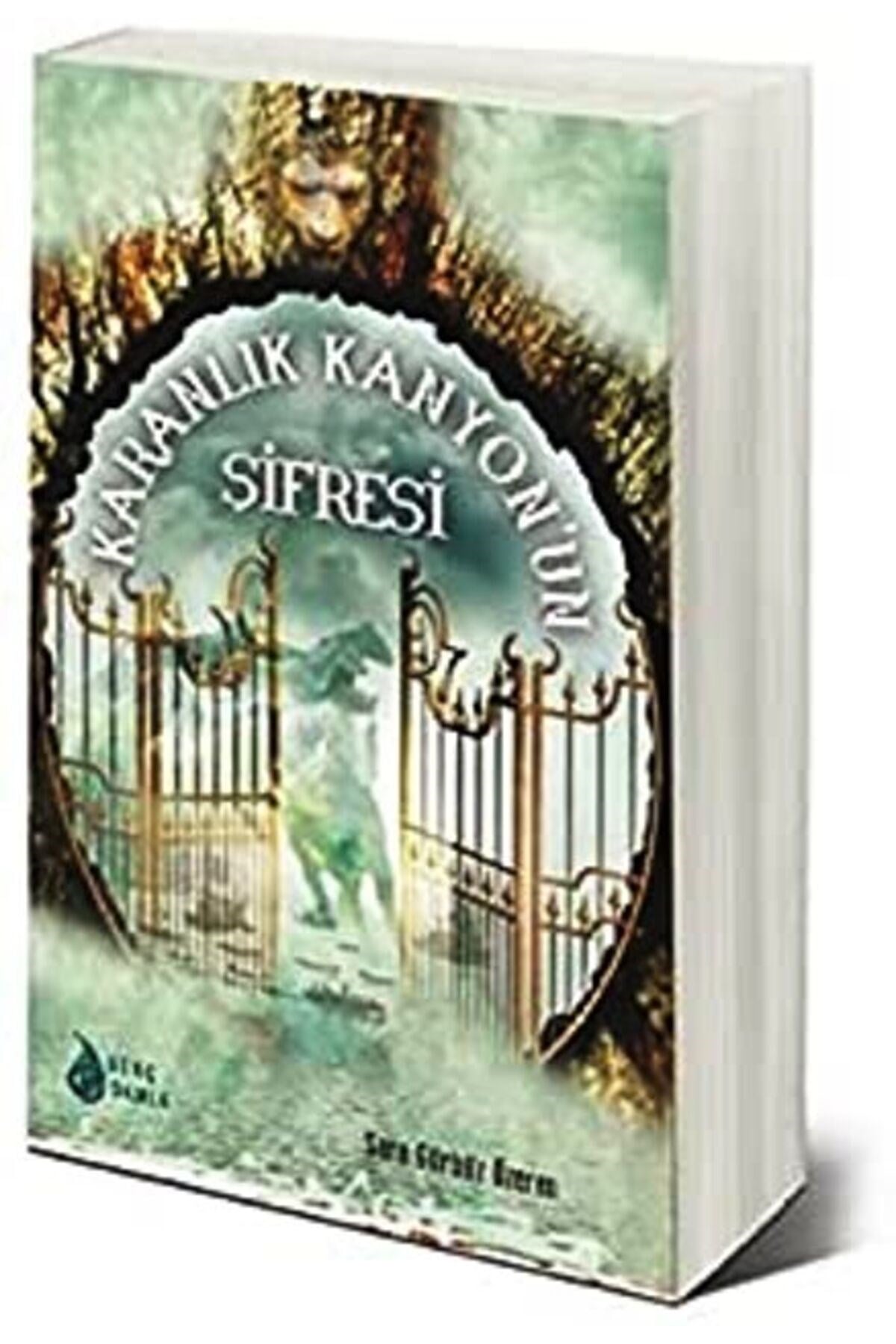 Karanlık Kanyon'un Şifresi