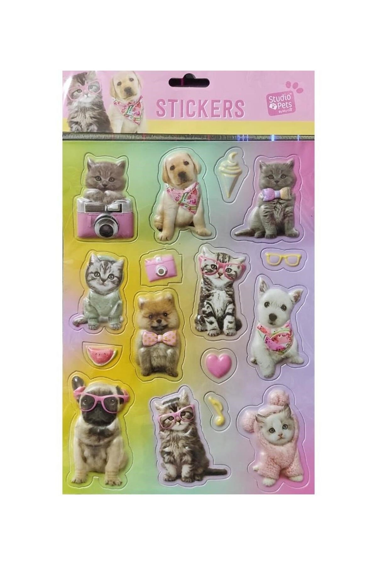 STUDİO PETS 3D boyutlu sticker PT-4673
