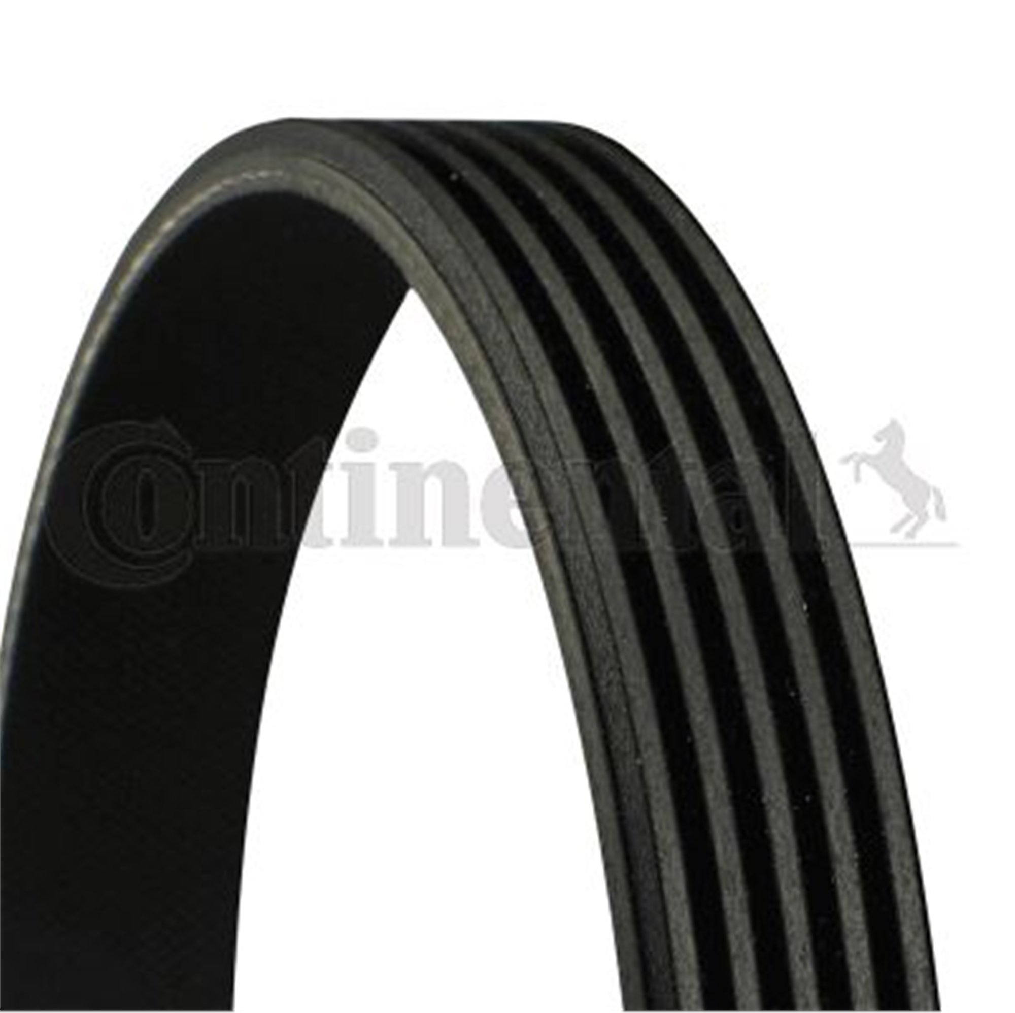 KANALLI KAYIŞ FOCUS CMAX 1.6-Tİ 03-07 -CMAX 1.6 07 > FOCUS 1.4-1.6-Tİ 04 > VOLVO S40 1.6 C30 05-12