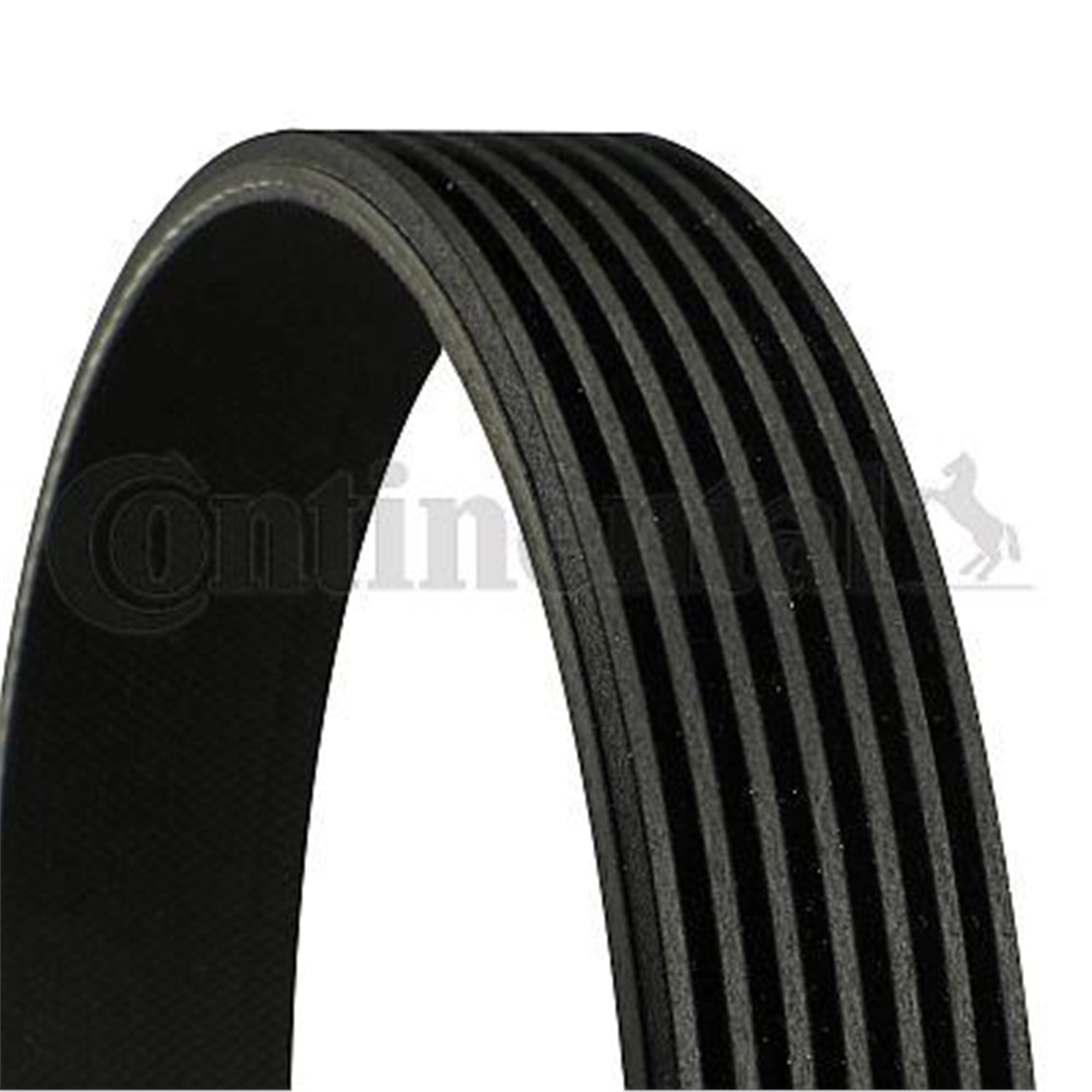 KANALLI KAYIŞ FORD TRANSİT 300-330-350 2.4TDCI 06 > 350-430-460 2.4TDCI 3.2TDCI 06 >