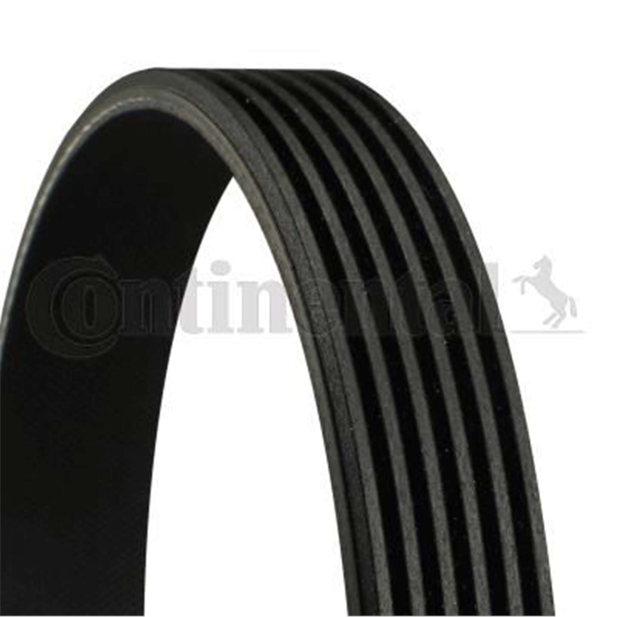 KANALLI KAYIS MERCEDES W124 W202 W203 CL203 S212 W140 W166 W463 B901>B904 / HONDA / HYUNDAI / KIA