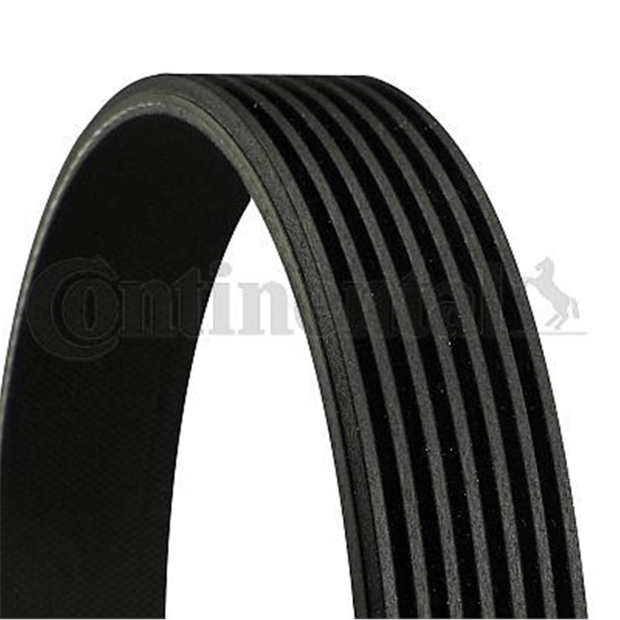 KANALLI KAYIŞ NISSAN LOTIO SPORT MICRA NOTE QASHQAI 1.6 16V 06 > BMW 750İ