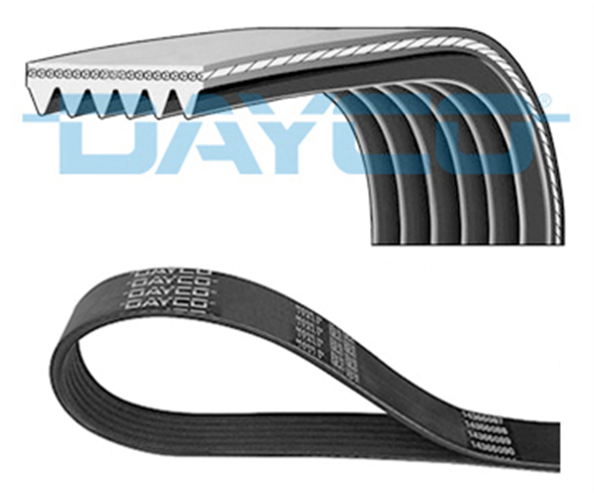 KANALLI KAYIŞ OPEL MOVANO MASTER 2.8DTI 8V 98-03 PEUGEOT CITROEN 107 C1 1.0 12V 05 > TOYOTA