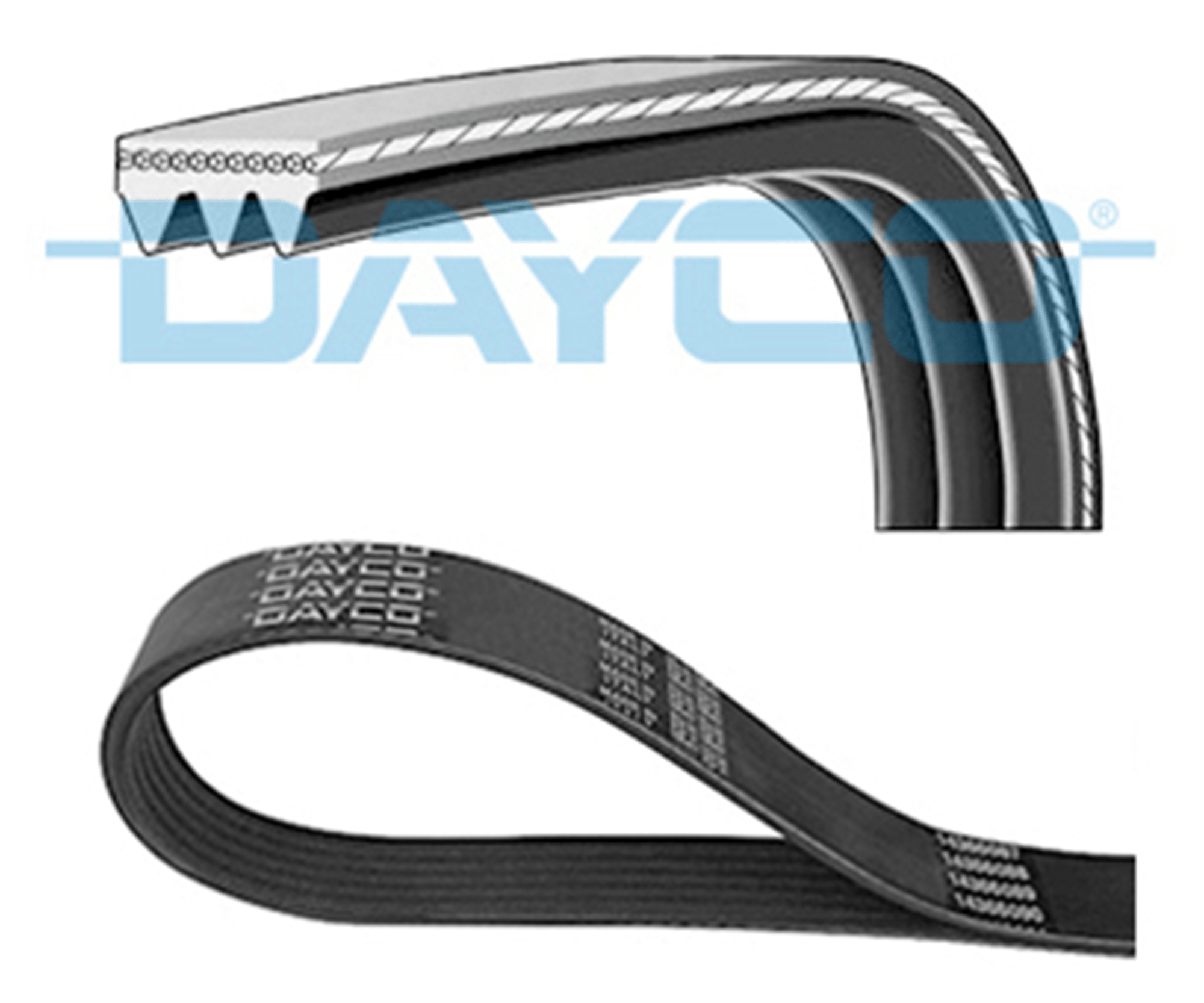 KANALLI KAYIŞ SAFRANE 2.0 92-96 HONDA LEXUS TOYOTA 38356