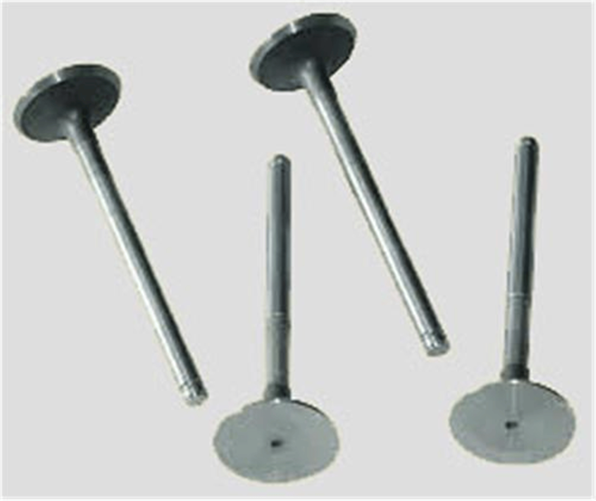 SUBAP EMME EGZOZ KNG-EXP-R19 F8Q-MGN-LGN 1.9 00 >
