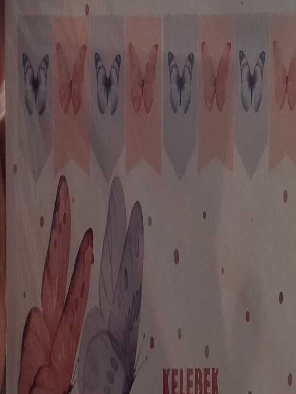 Kelebekli banner
