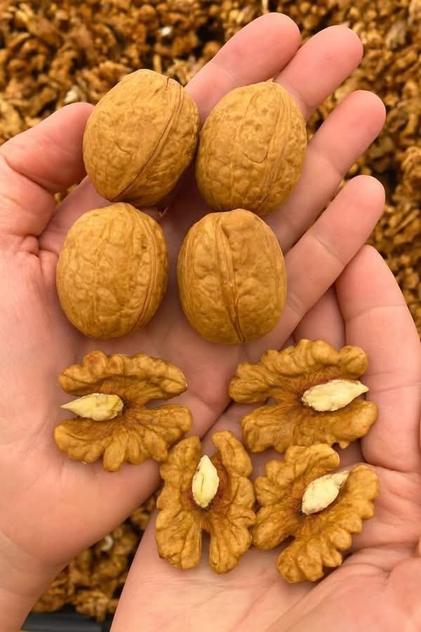Kelebek Ceviz İçi 1000 Gr