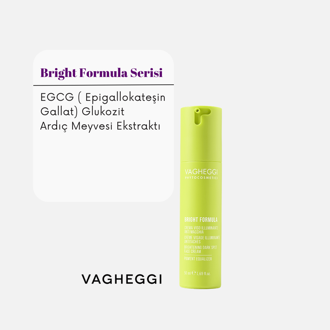 Vagheggi BRIGHT FORMULA BRIGHTENING DARK SPOT FACE CREAM 50 ml