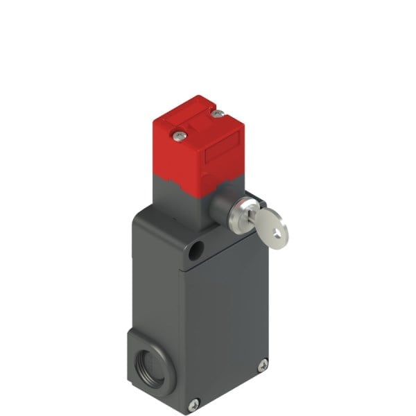 Pizzato FS2898D024 Anahtarlı Emniyet Switch 24V AC/DC IP67