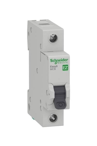 Schineder EZ9F56106 1x6A Otomat 