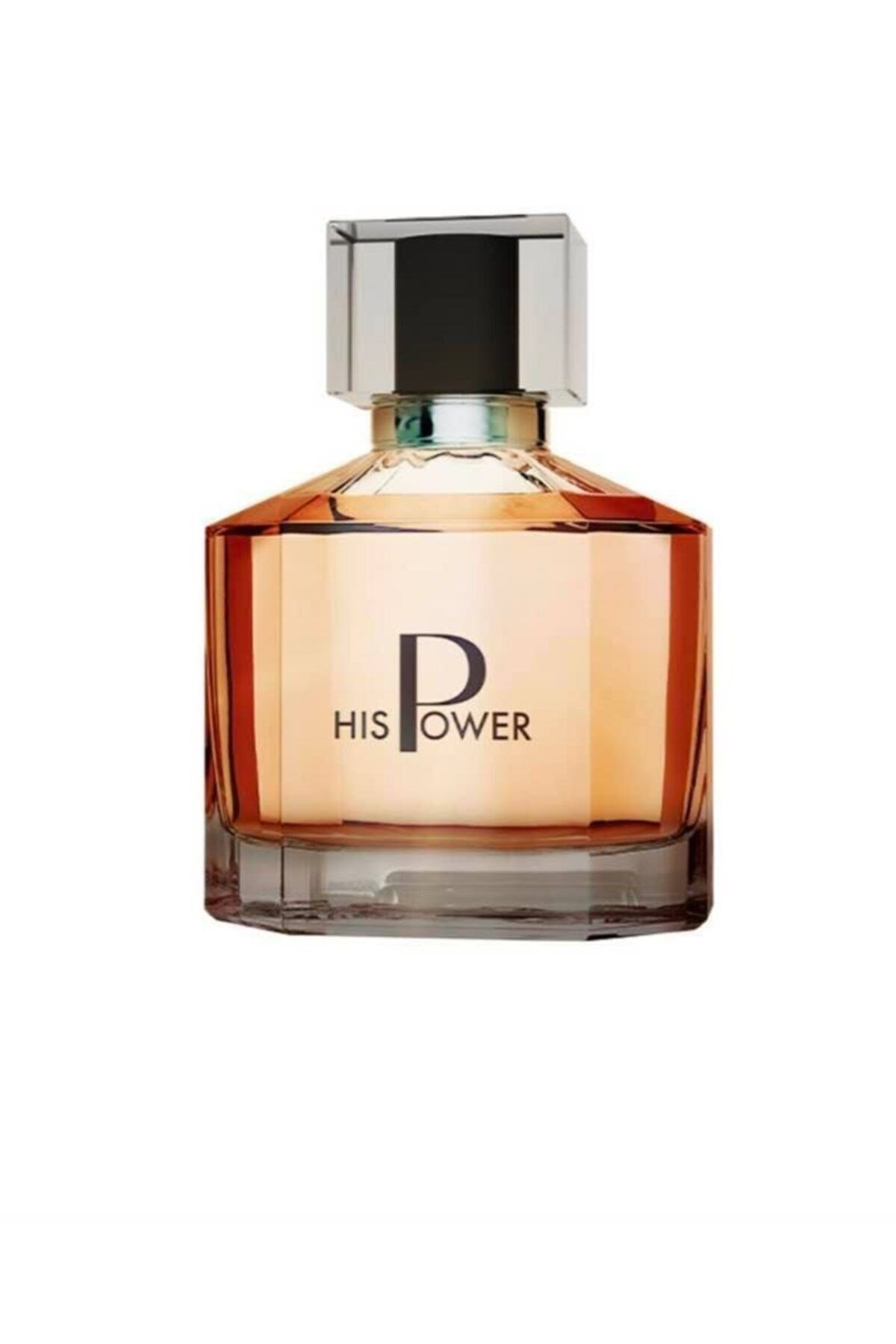His Power Edp Erkek Parfüm 100 ml FHP02