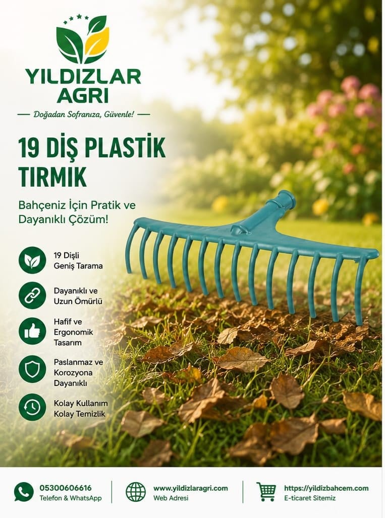 19 Diş Plastik Tırmık