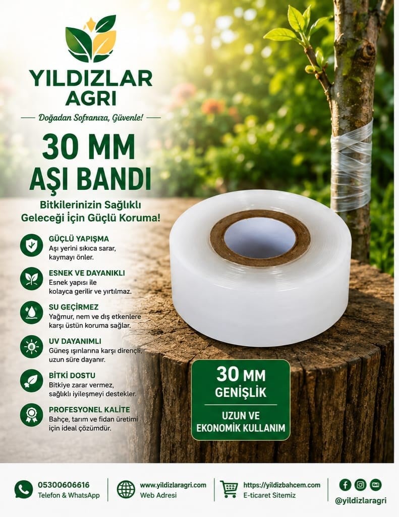 30 mm Profosyonel Fidan ve Ağaç Aşı Bandı