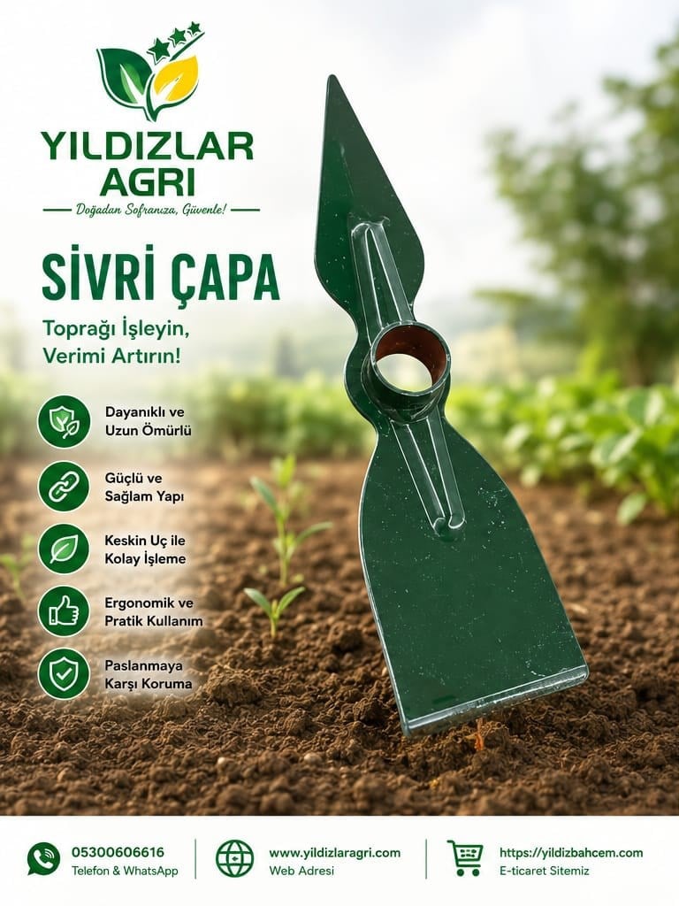 Sivri Uçlu Bahçe Çapası (Sapsız)