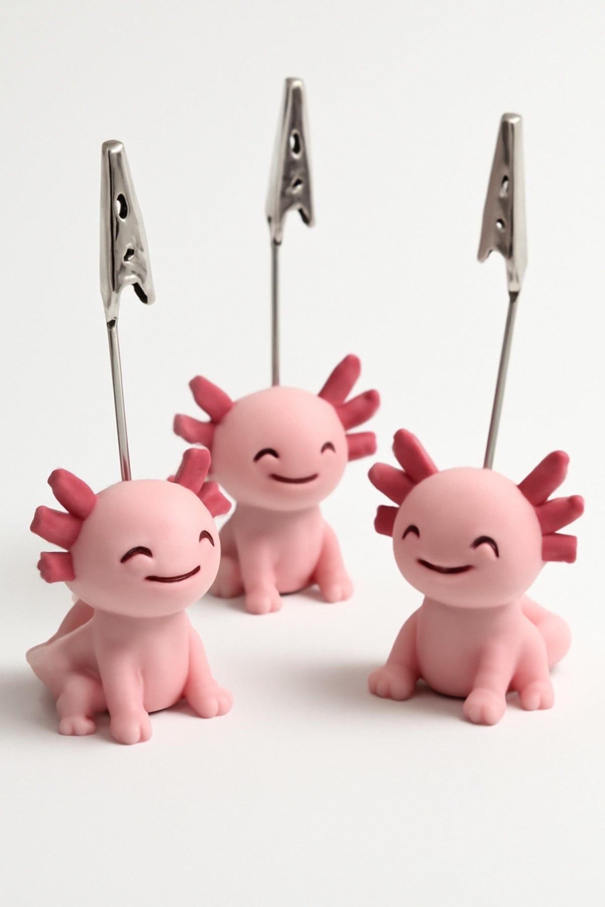 Axolotl Not Tutucu 3Lu