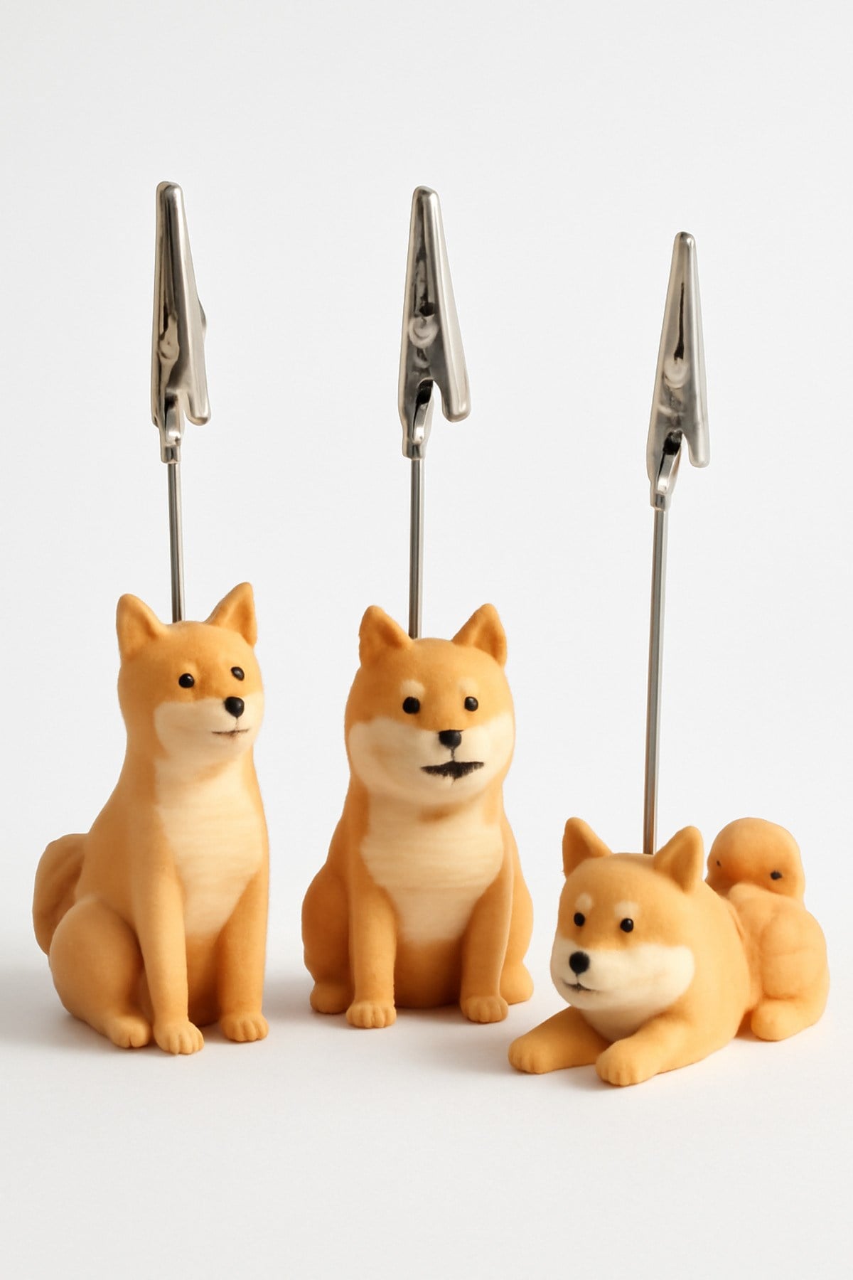Shiba Inu Not Tutucu 3Lu