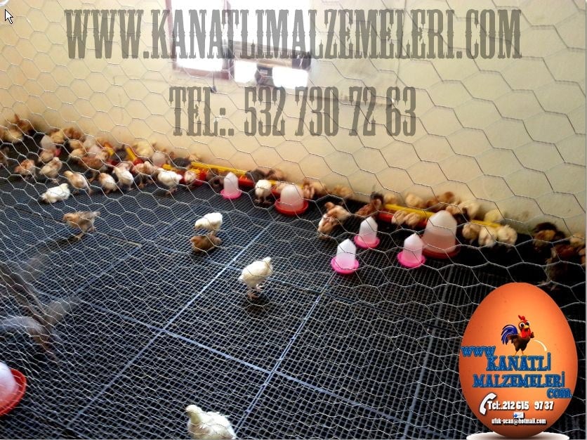 Kümes Taban Izgarası 1 M2 ( 4 adet 50x50 ) Tavuk ve Civcivler İçin Plastik Altlık