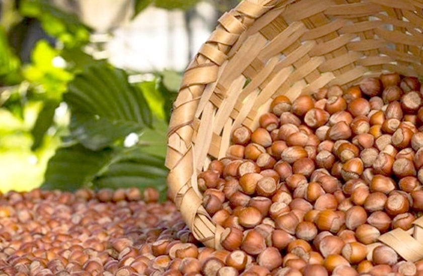 50 Radıman 0 - 10 kg Fındık Alımı