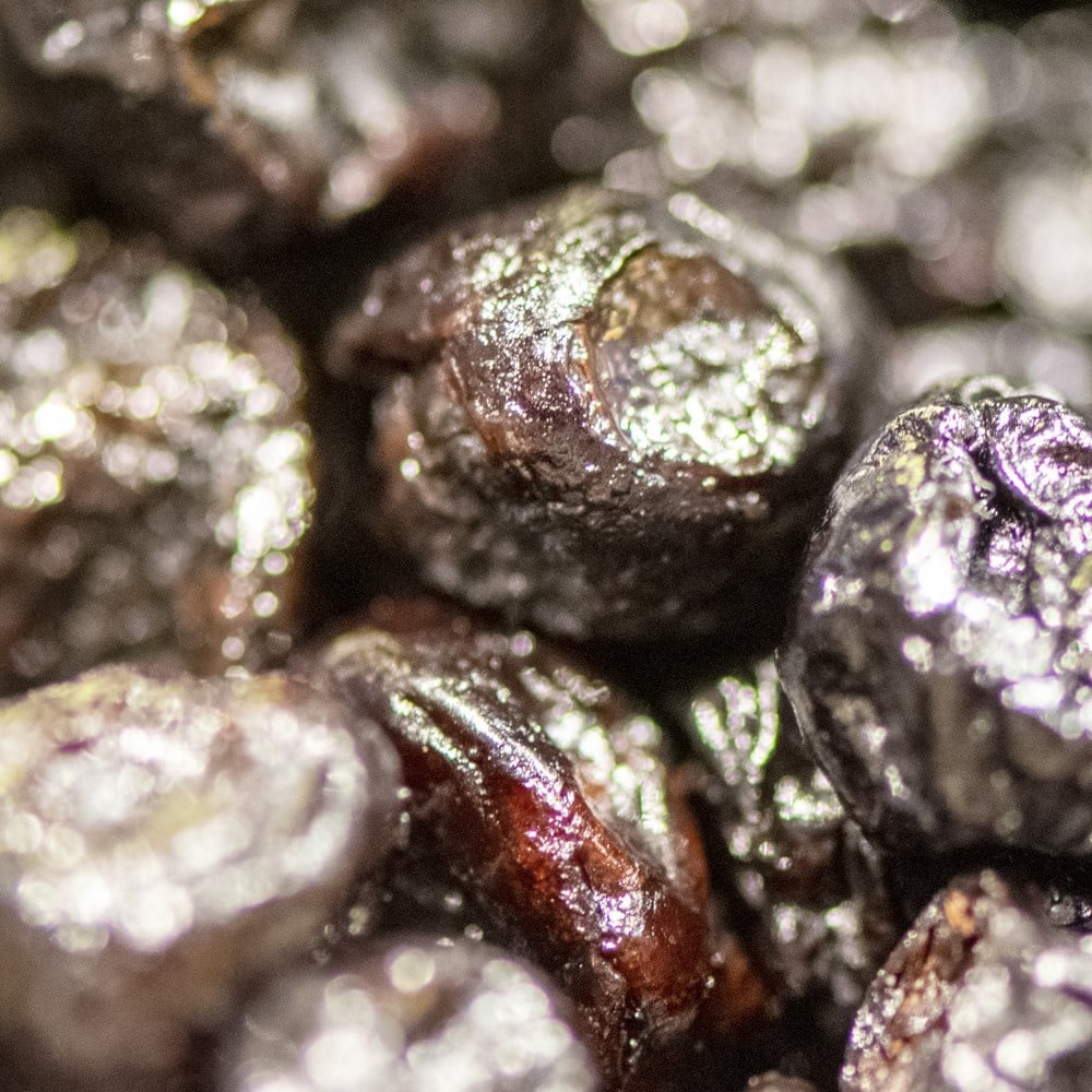 kurutulmus-yaban-mersini-blueberry-4929-a.jpg
